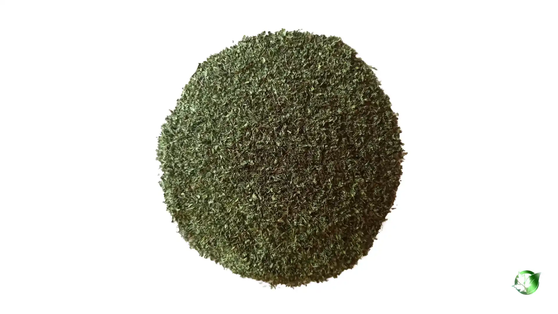 Bulk Dried Mint | Suppliers | Wholesale | ParsaFood Global